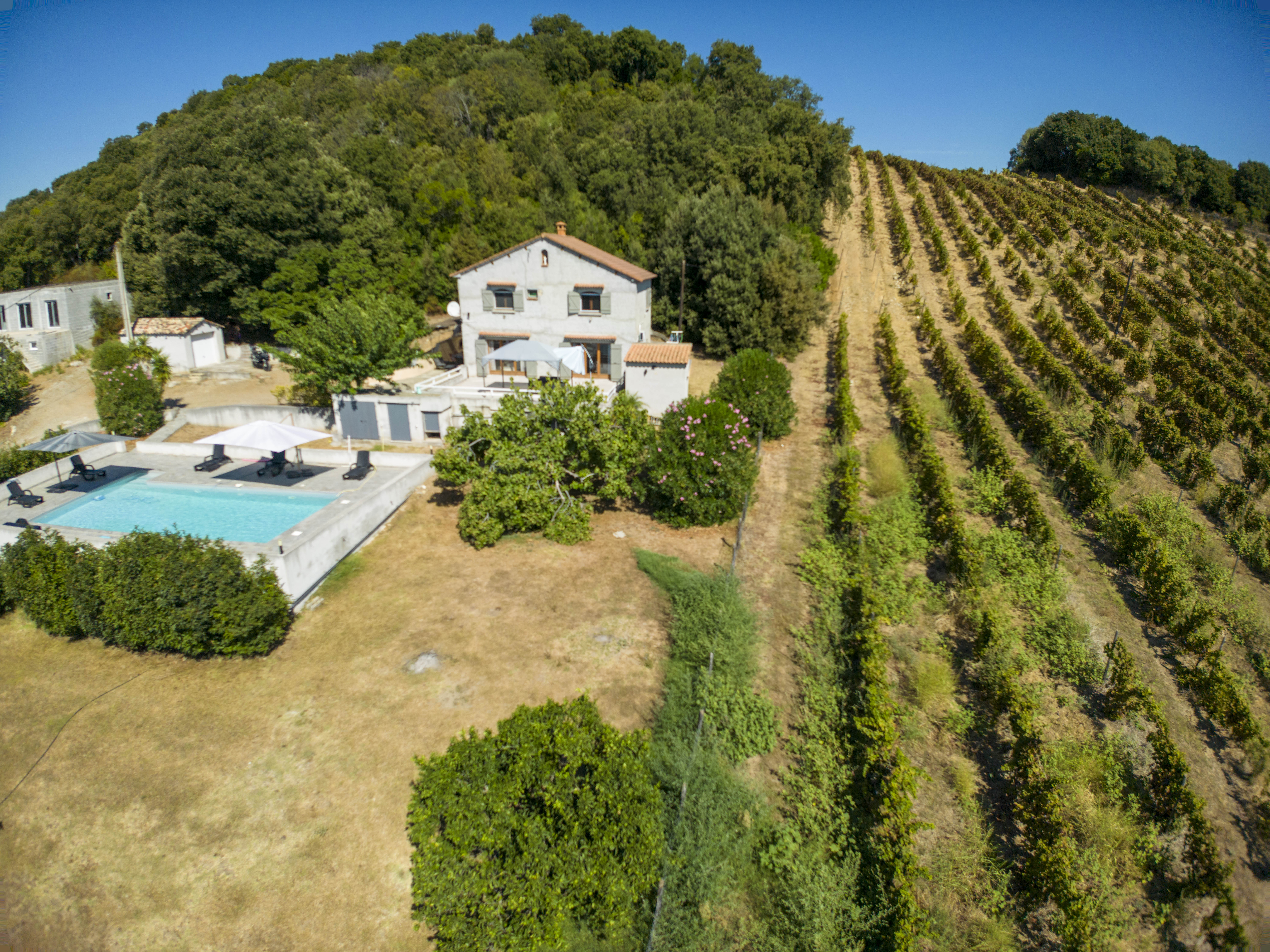 Villa E-Cabane à Giuncaggio : terrasse, piscine privée et maquis corse